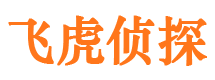 合江市侦探公司